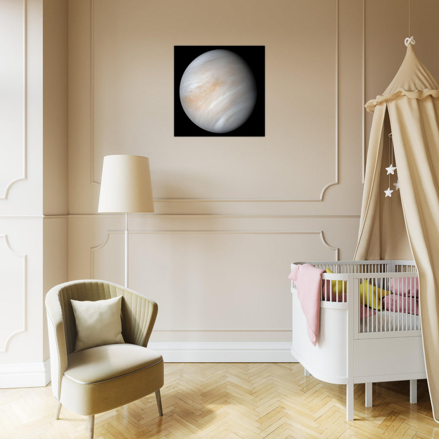 Venus - Aluminium Poster