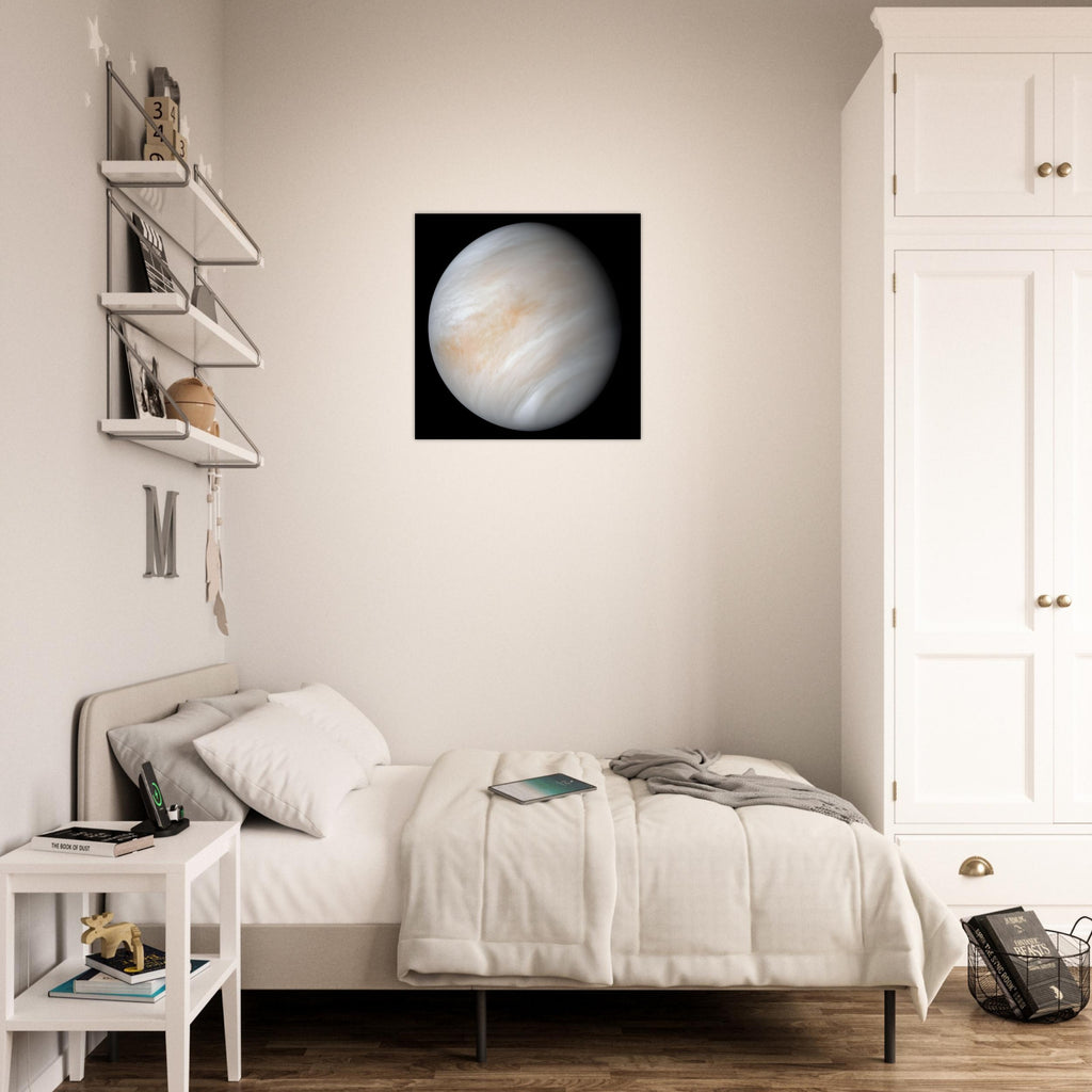 Venus - Aluminium Poster