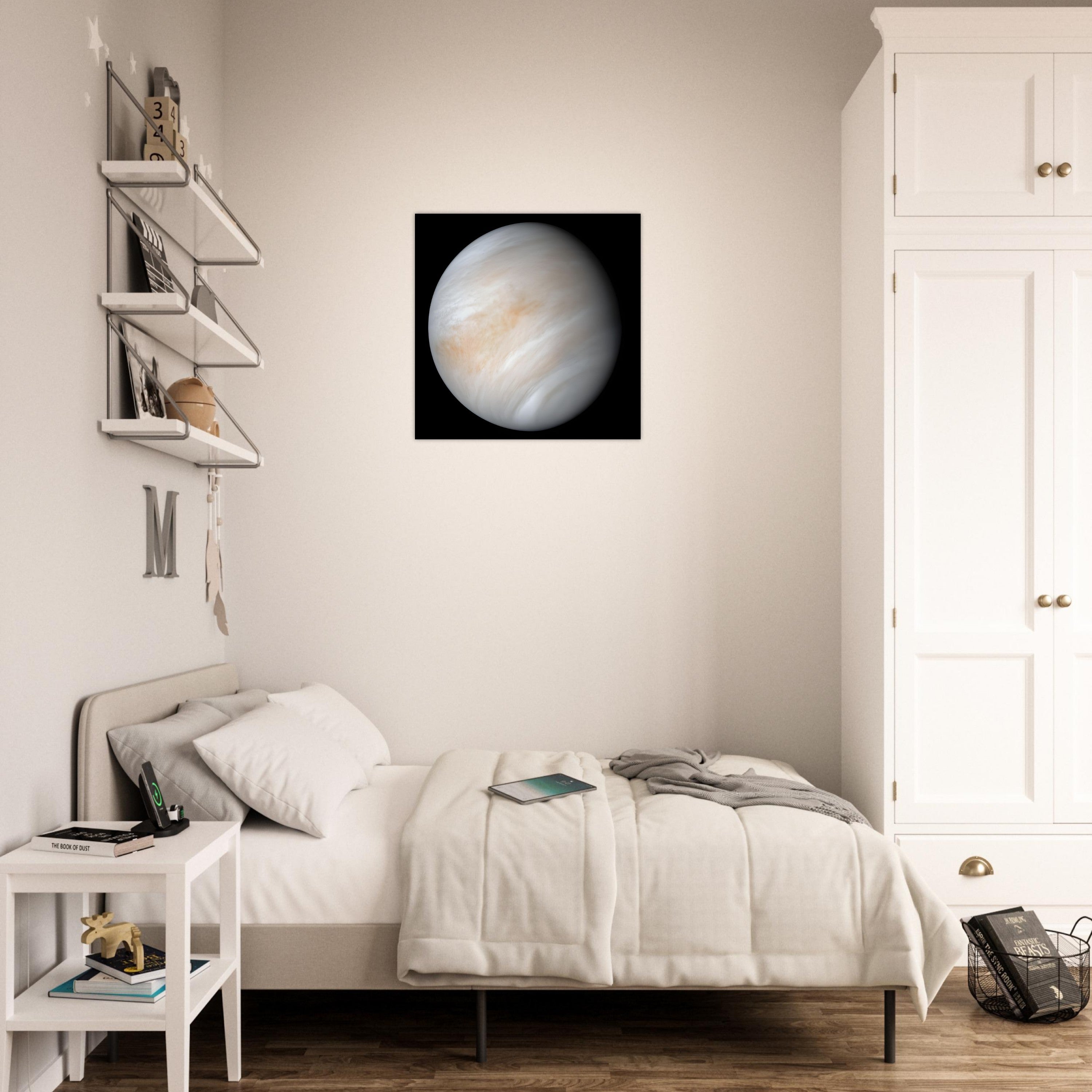 Venus - Aluminium Poster