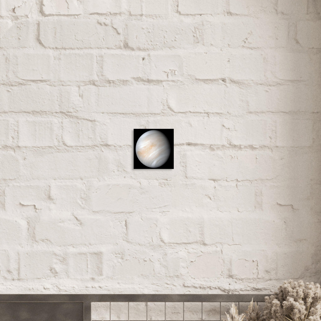 Venus - Aluminium Poster