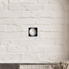 Venus - Aluminium Poster