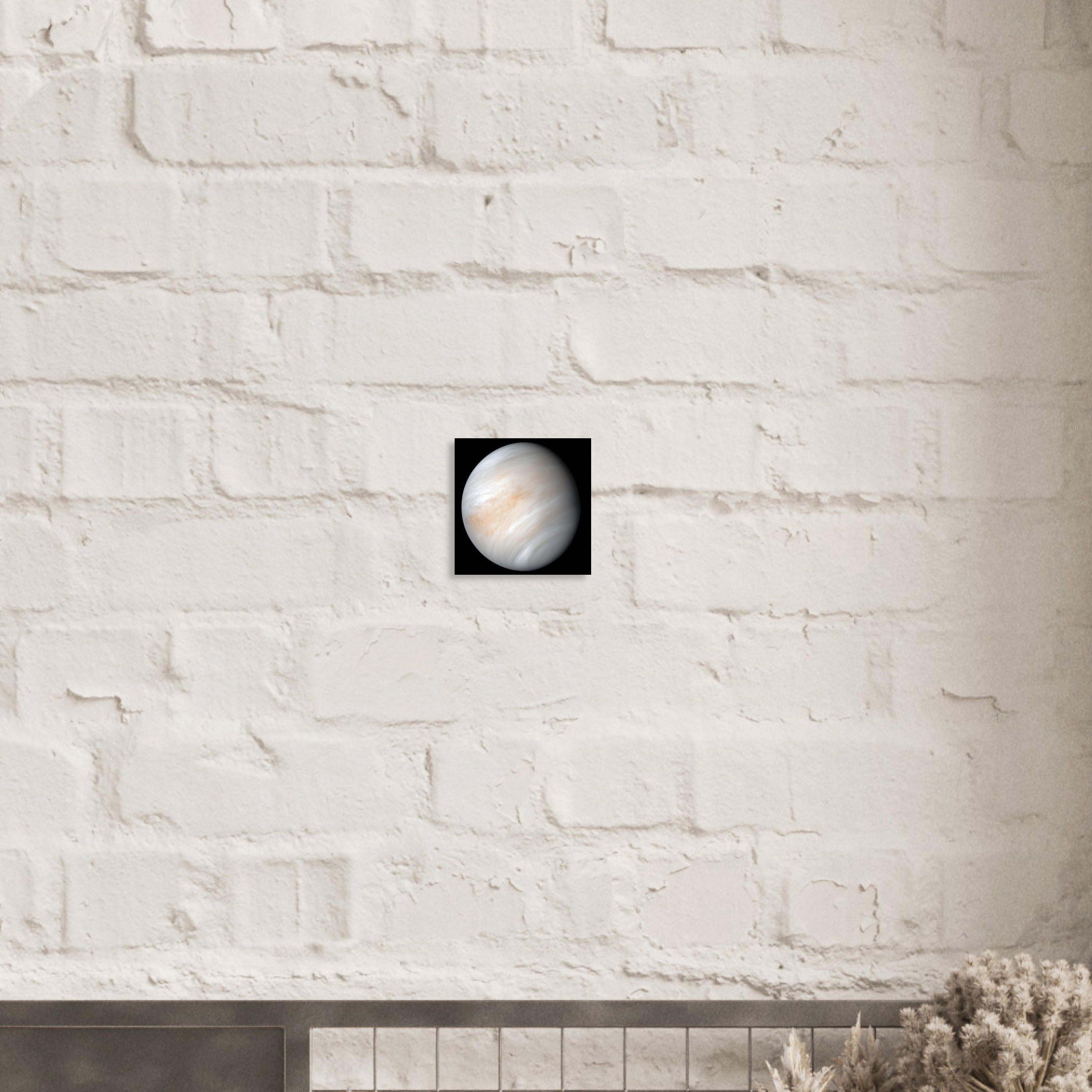 Venus - Aluminium Poster