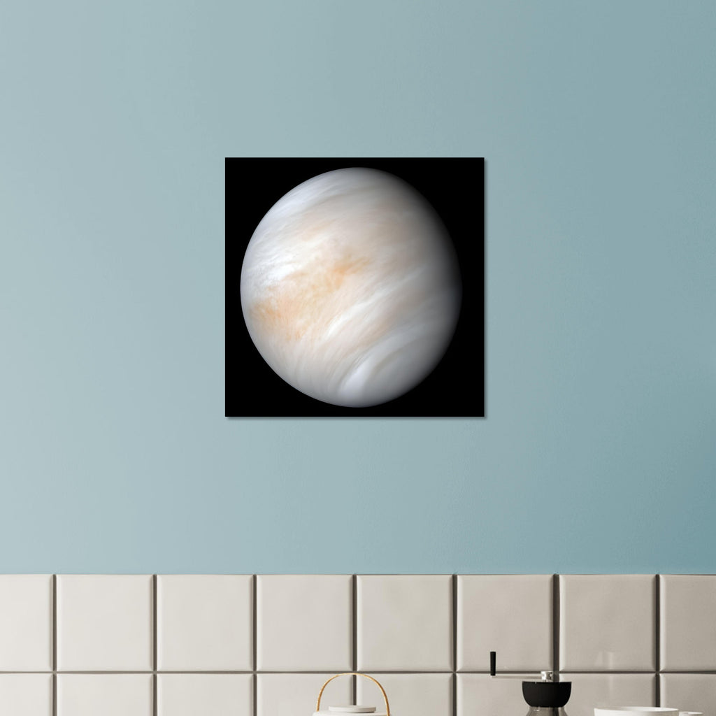 Venus - Aluminium Poster