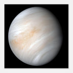 Venus - Aluminium Poster