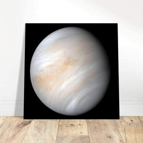 Venus - Aluminium Poster